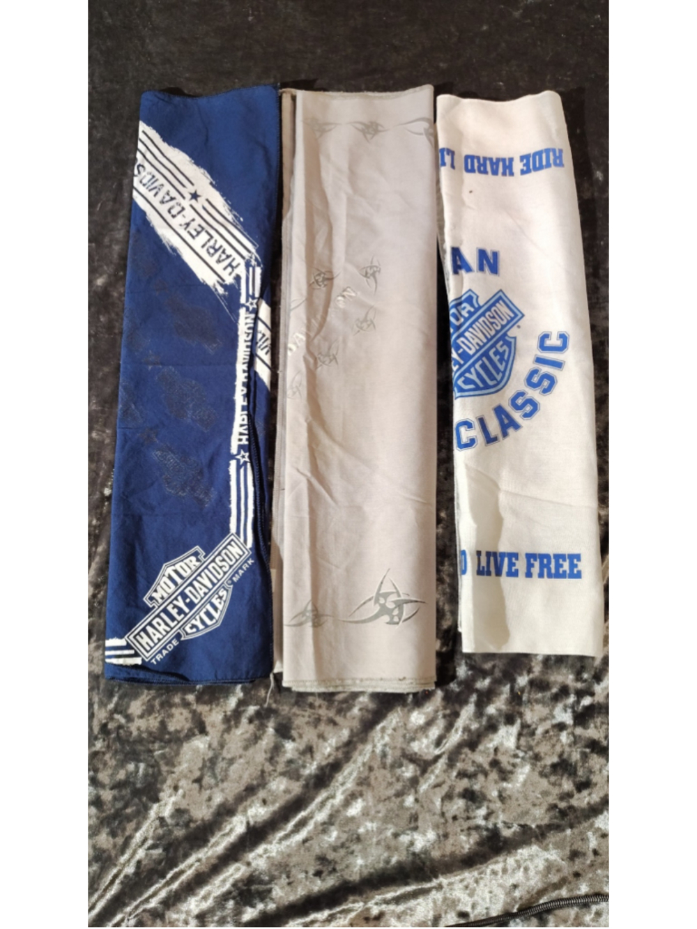 Harley-Davidson Men's Bandana Set One Size Blue White